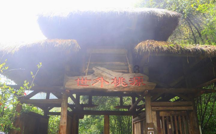 植物大战僵尸：花园战争