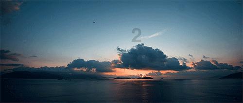 大白猫逃脱