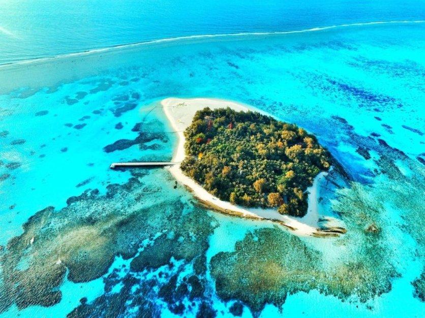 连续上大分！细数外交官们点赞重庆的6大美景“美人”