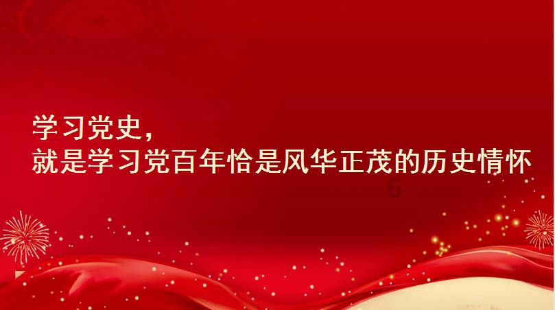 破碎的动物图形