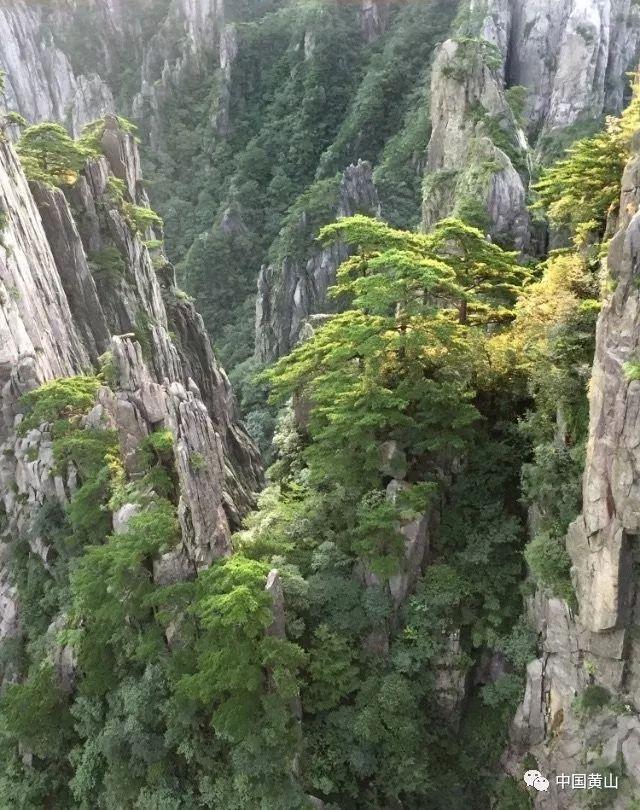 男方因为彩礼问题要分手怎么办？游戏画面